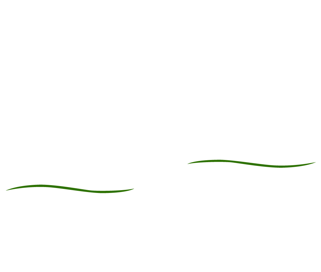 Kinderarztpraxis Schwanenkolonie