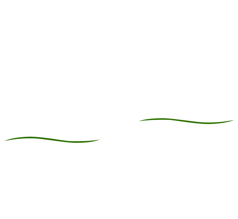 Kinderarztpraxis Schwanenkolonie